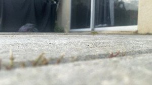 2806759