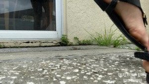 2806794