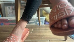 2806815