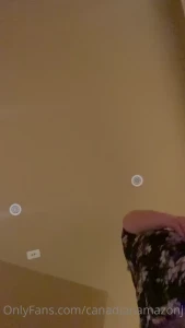 10673183