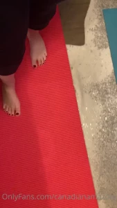 10673202
