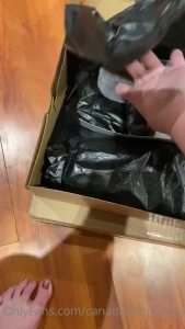 13155263