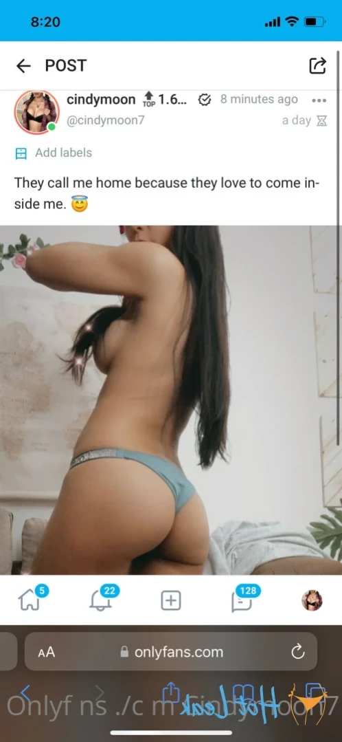 cindymoon 🔝2.1% Busty Petite Asian Dream [ cindymoon7 ] Onlyfans leaked photo 12796612 on Hotleaks.tv