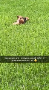 cindymoon 🔝2.1% Busty Petite Asian Dream [ cindymoon7 ] Onlyfans leaked video 15897752 on Hotleaks.tv