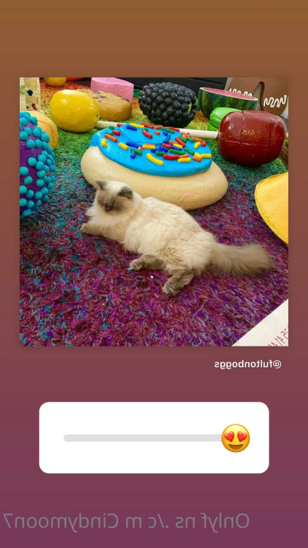cindymoon 🔝2.1% Busty Petite Asian Dream [ cindymoon7 ] Onlyfans leaked photo 16171302 on Hotleaks.tv