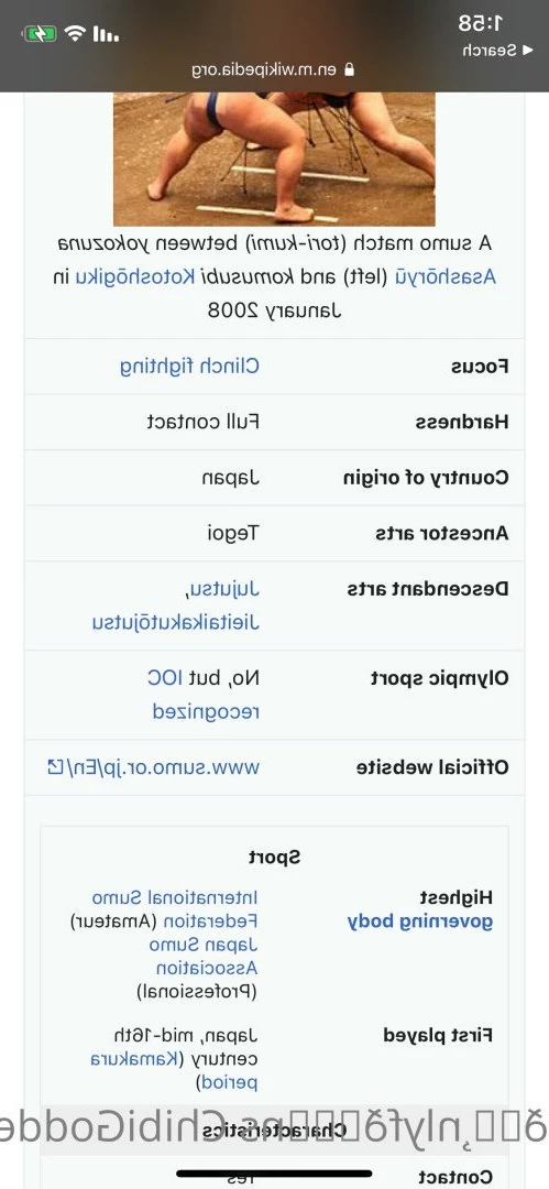 MaiHero 🇺🇸💙😍 🔝 1.9% [ maihero ] Onlyfans leaked photo 4354523 on Hotleaks.tv