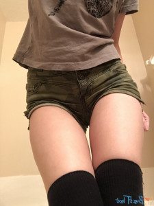 16679524