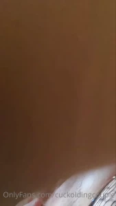 15751271