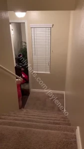 jaylene [ jaylenexo ] Onlyfans leaked video 4831146 on Hotleaks.tv