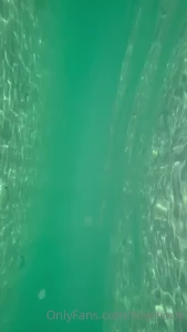 11917610