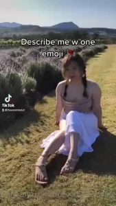 18337248