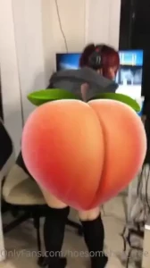 18337258