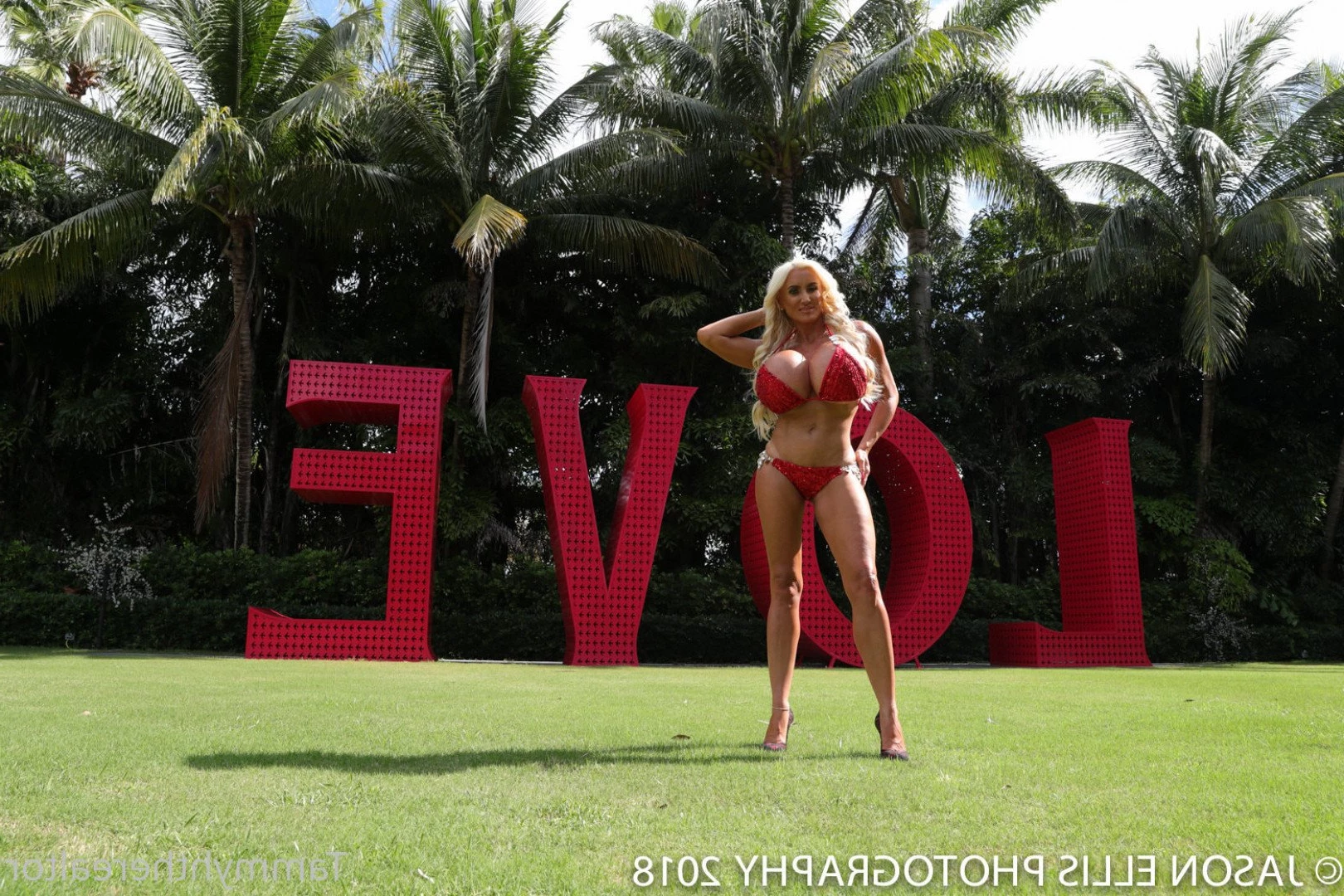 @Tammyhtherealtor [ tammylh ] Onlyfans leaked photo 2268588 on Hotleaks.tv