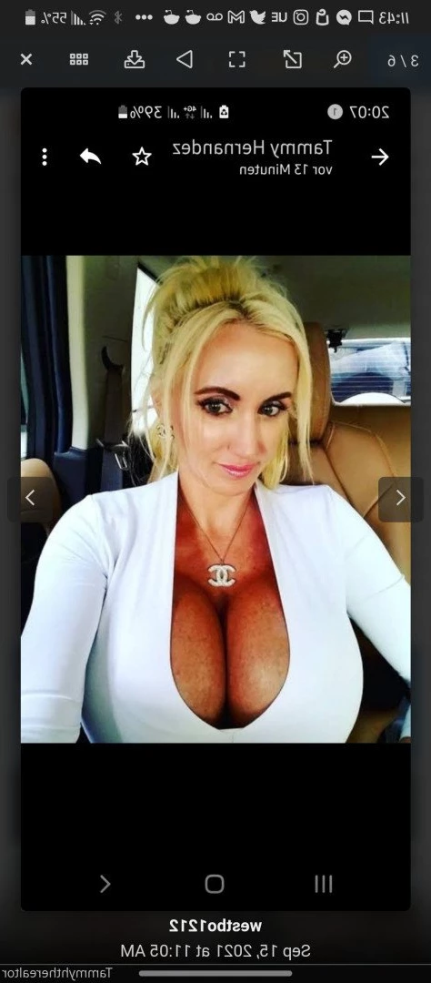 @Tammyhtherealtor [ tammylh ] Onlyfans leaked photo 3761593 on Hotleaks.tv