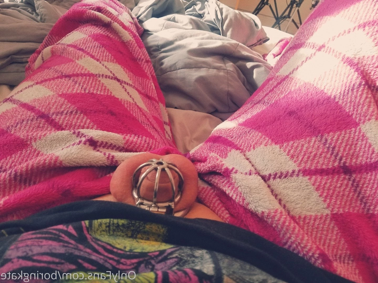 boringkate Onlyfans leaked photo 196630 on Hotleaks.tv
