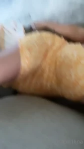 9123738
