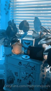 ʍìժօɾì🌱 [ midoribug ] Onlyfans leaked video 15130469 on Hotleaks.tv