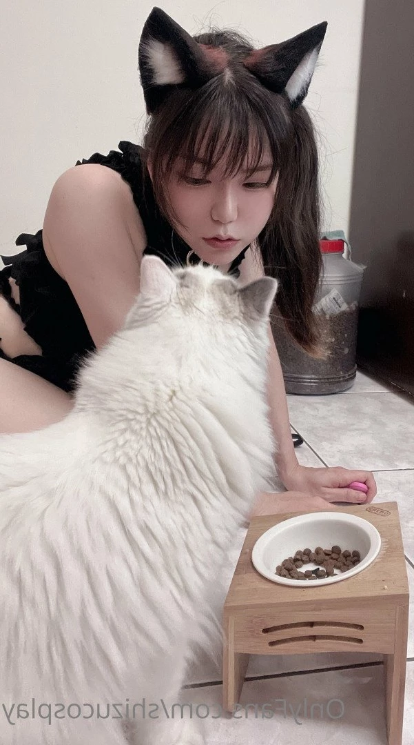 Shizu靜 [ shizucosplay ] Onlyfans leaked photo 2151763 on Hotleaks.tv