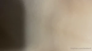 9123237