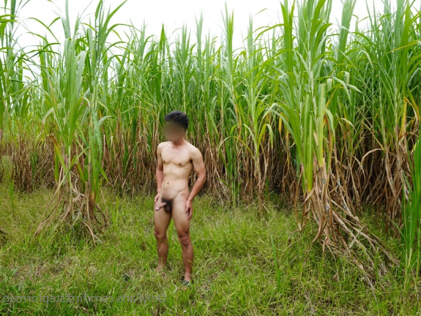 ก้าวแรก 👟 First step for man [ firststepforman ] Onlyfans leaked photo 14849461 on Hotleaks.tv