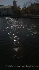 15785919