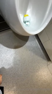 15493162