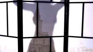 18336096