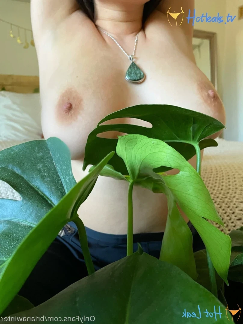 brianawinter Onlyfans leaked photo 13264486 on Hotleaks.tv