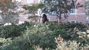 Mai [ amaimaiofficial ] Onlyfans leaked video 2496669 on Hotleaks.tv