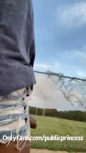 18335028