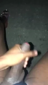 18335044