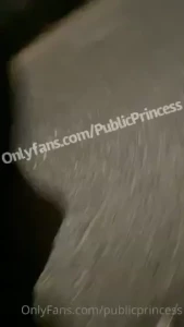 18335065