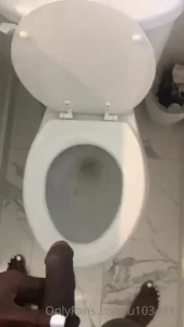 18335067