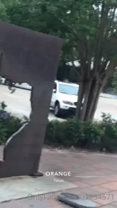 18335069