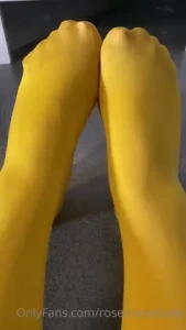18334988