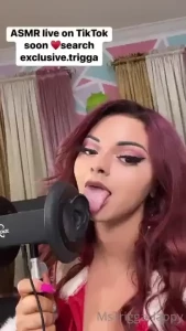 18334940