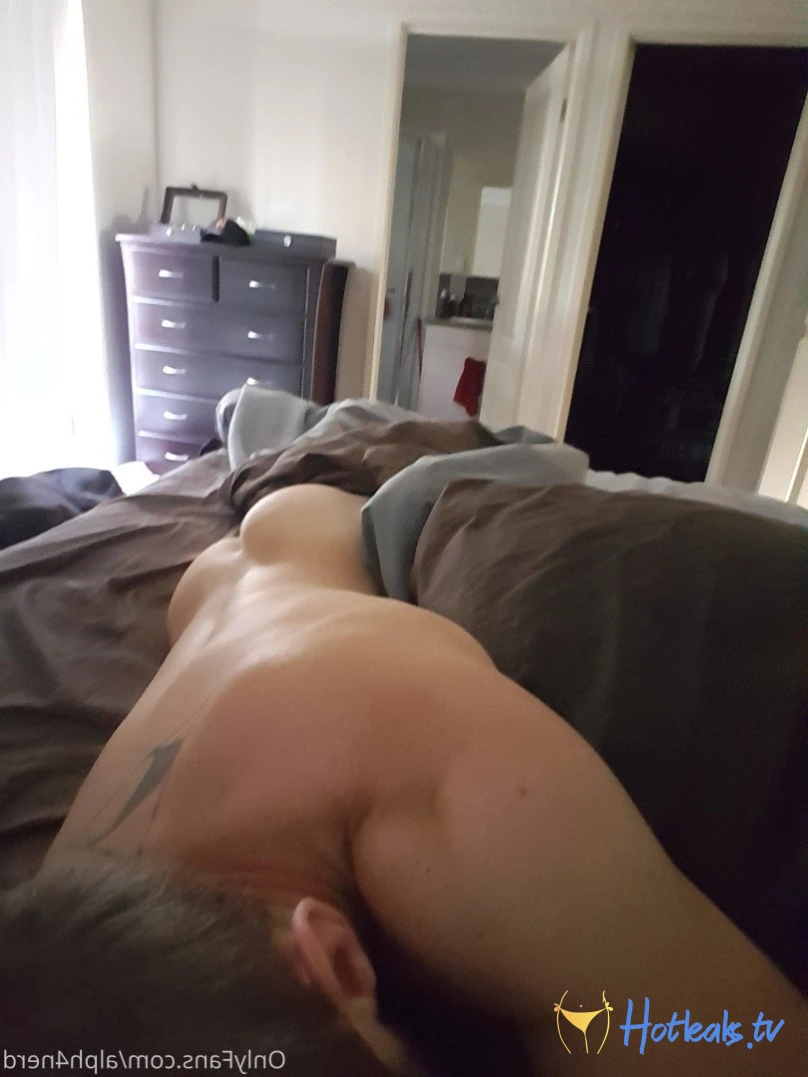 AlphaNerd [ alph4nerd ] Onlyfans leaked photo 3600492 on Hotleaks.tv