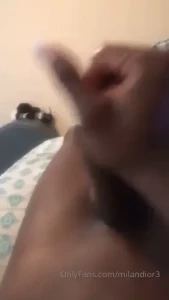 18334386