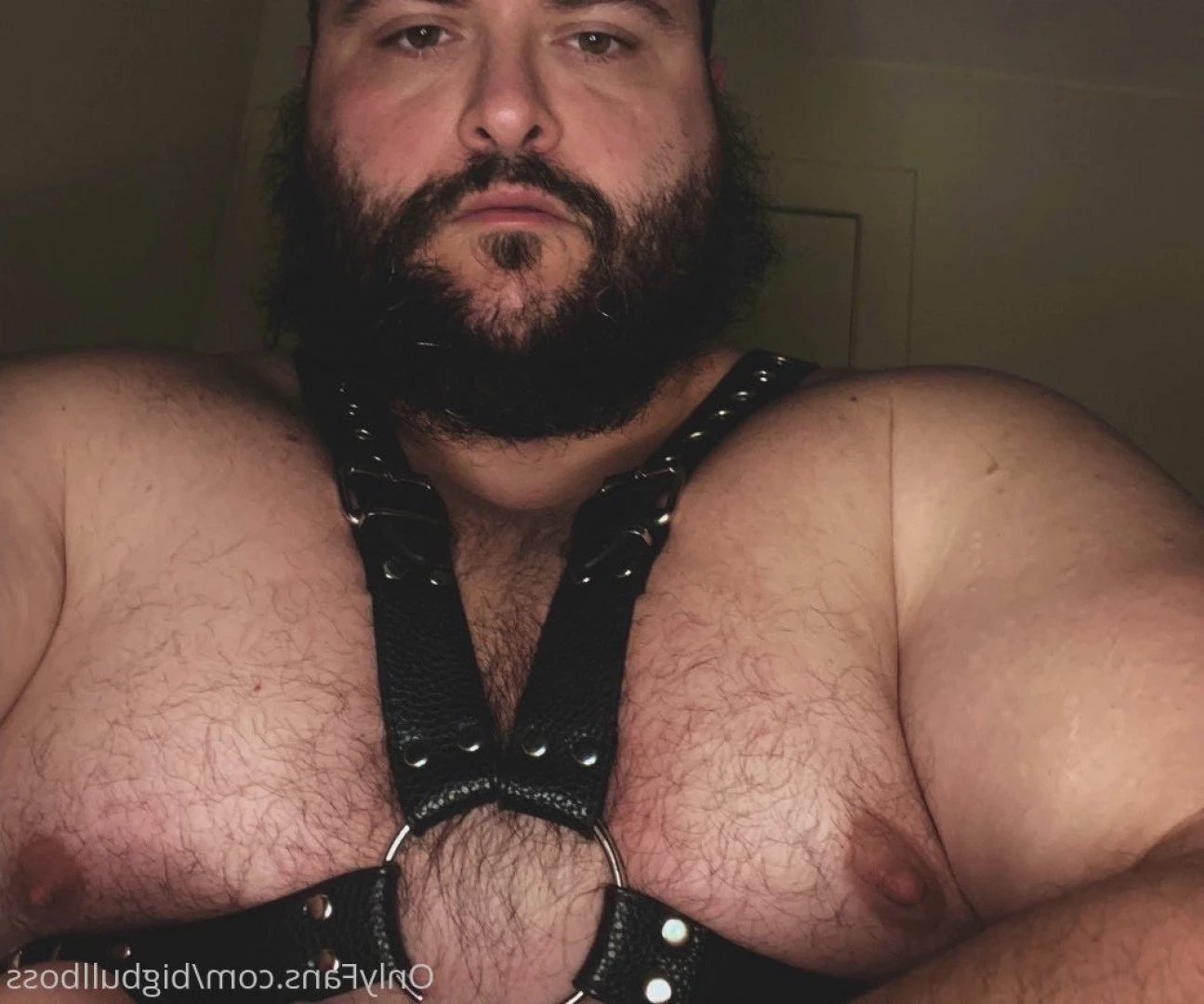 BULL [ bigbullboss ] Onlyfans leaked photo 2249403 on Hotleaks.tv