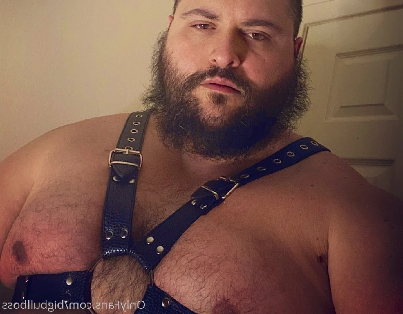 BULL [ bigbullboss ] Onlyfans leaked photo 2249424 on Hotleaks.tv