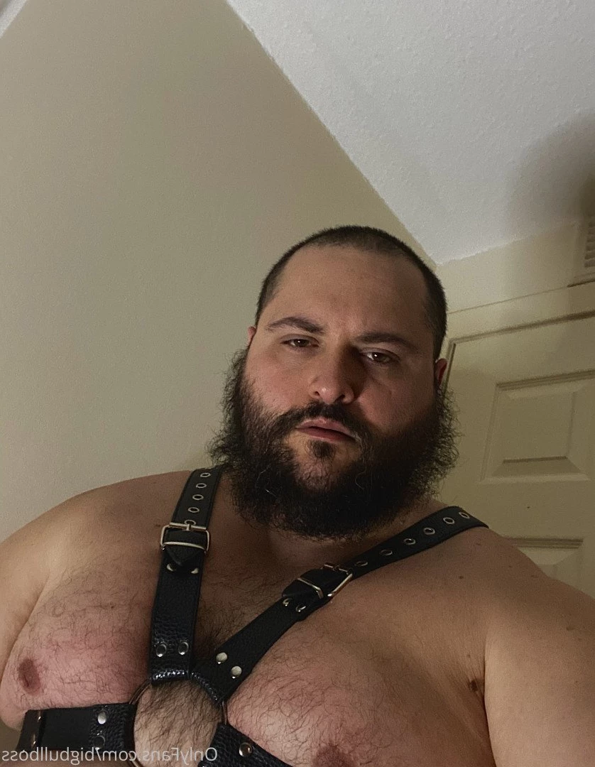 BULL [ bigbullboss ] Onlyfans leaked photo 2249581 on Hotleaks.tv