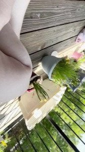 Ellie Burns 💕 [ blissfulellie ] Onlyfans leaked video 2872064 on Hotleaks.tv