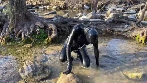 Kaya [ dollified ] Onlyfans leaked video 15752691 on Hotleaks.tv