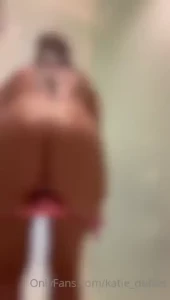 18333464