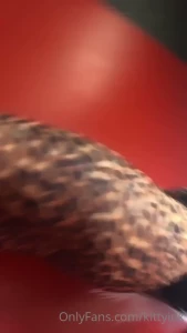 Kitty Ink [ kittyink ] Onlyfans leaked video 2226219 on Hotleaks.tv
