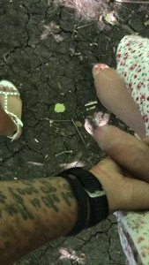 Ladyharkness [ ladyharknessxxx ] Onlyfans leaked video 2890124 on Hotleaks.tv