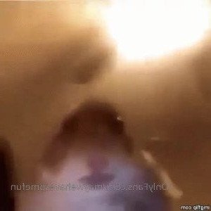 2898384
