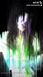2906504