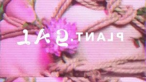 Ivy 🌿😈 [ plantgal ] Onlyfans leaked video 2908103 on Hotleaks.tv