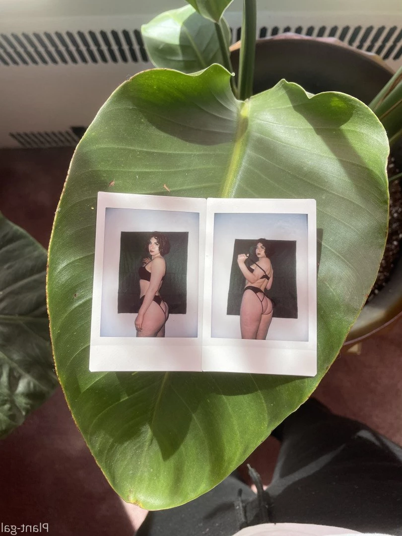 Ivy 🌿😈 [ plantgal ] Onlyfans leaked photo 3849134 on Hotleaks.tv